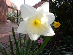 2024.essen.stadhuis(narcis).DSCN5752